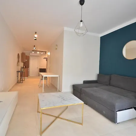Apartment 1 Bedroom Flat